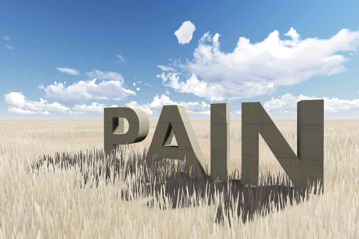 the word "pain" standing in a field