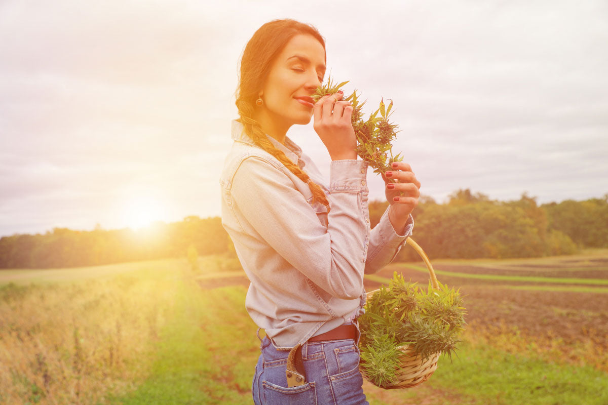 woman smelling hemp in a field and smiling