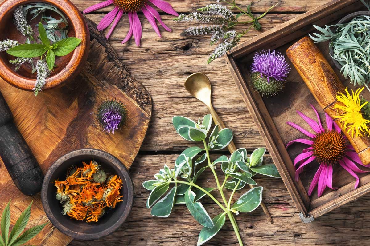 table with multiple herbs