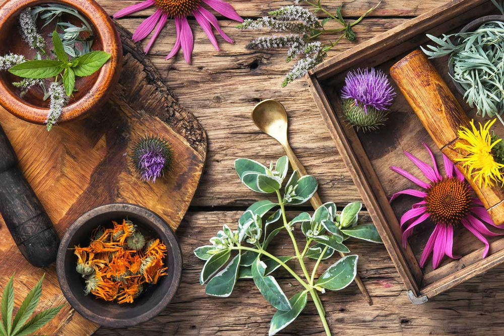10 Herbal Supplements to Help You Live Your Best Life
